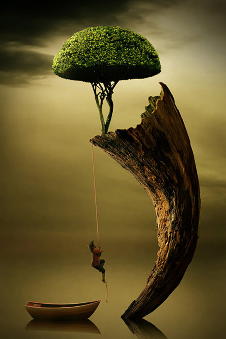 Photo manipulation (21)